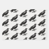 Raven Vintag Illustration Geschenkpapier Set (Vorderseite 3)