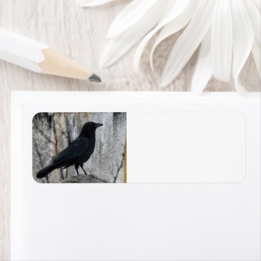 Raven Warten (Insitu)