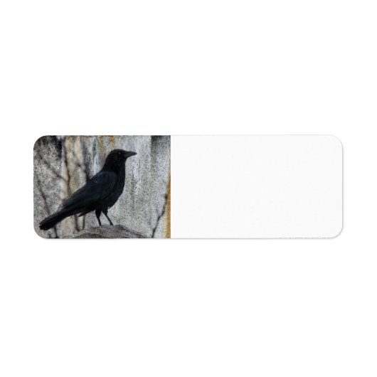 Raven Warten (Vorne)