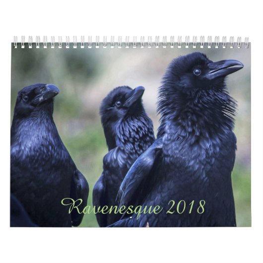 Ravenesque magisches 18-monatiger Kalender Vogels (Titelbild)