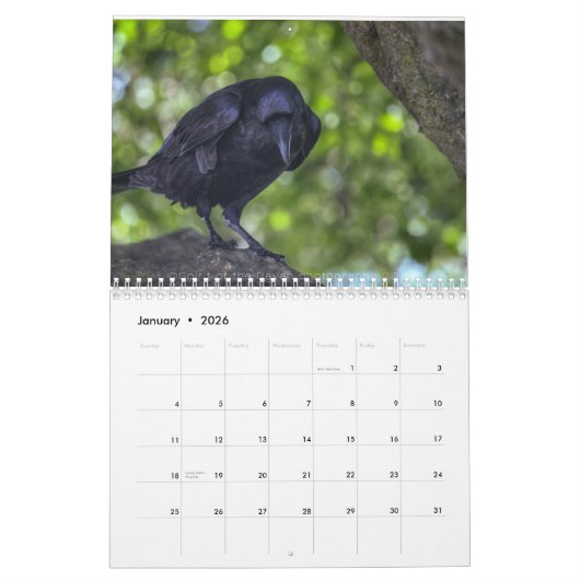 Ravenesque magisches 18-monatiger Kalender Vogels (Jan 2026)
