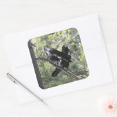 Ravens auf dem Berg Quadratischer Aufkleber (Umschlag)