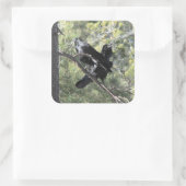 Ravens auf dem Berg Quadratischer Aufkleber (Tasche)