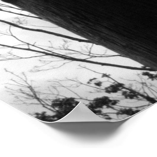 Raven's Bite, S Cyr Poster (Ecke)