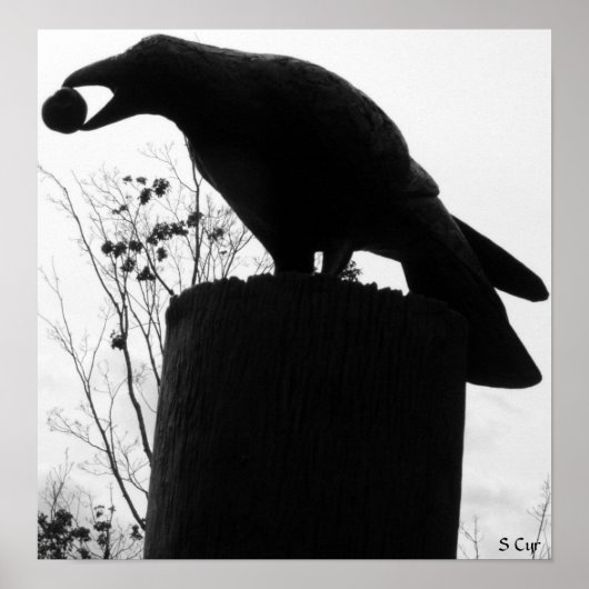 Raven's Bite, S Cyr Poster (Vorne)