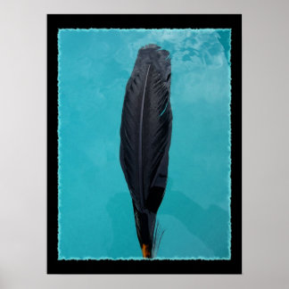 Raven's Feather Poster