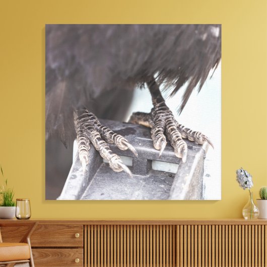 Raven's Foot Leinwanddruck (Insitu (Wohnzimmer))
