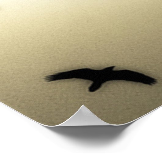 Ravens im Flug Poster (Ecke)