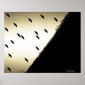 Ravens im Flug Poster (Vorne)