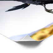 Raven's in Flight zusammen Foto drucken (Ecke)