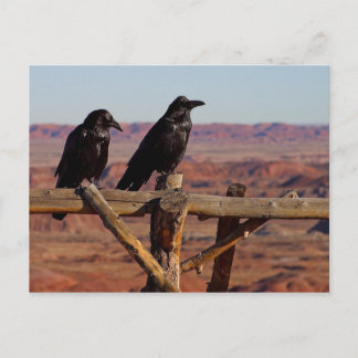 Ravens Postkarte