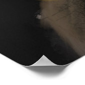 Raven's Rune: Aegishjalmur Magie auf schwarzem Ste Poster (Ecke)