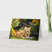 Ravens spielen mit Cat Feathers Friends Karte (Vorderseite)