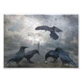 Ravens spielen mit verlorener Zeit Fotodruck (Vorne)