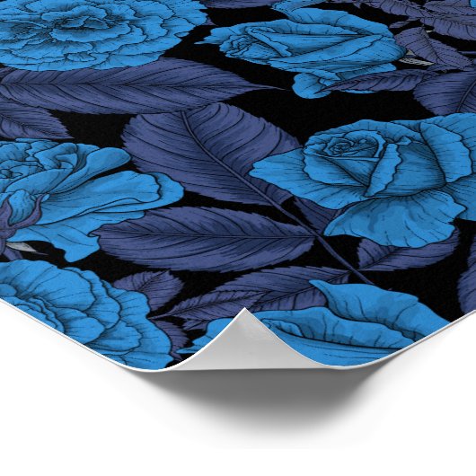 Ravens und blaue Rose Poster (Ecke)