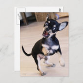 Rawr Postkarte (Vorne/Hinten)