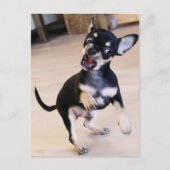 Rawr Postkarte (Vorderseite)