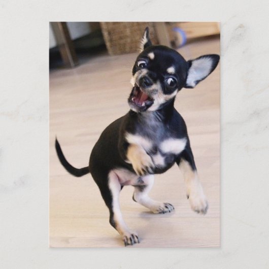 Rawr Postkarte (Vorderseite)