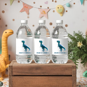 RAWR Unter den Lichtern Dinosaurier Winter Geburts Wasserflaschenetikett
