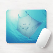 Ray Mousepad (Mit Mouse)