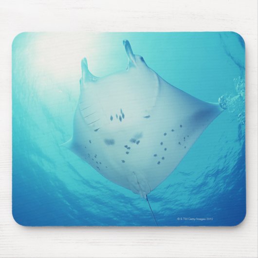 Ray Mousepad (Vorne)