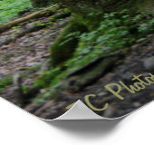 Ray of Hope 36 x 24 Poster (Ecke)