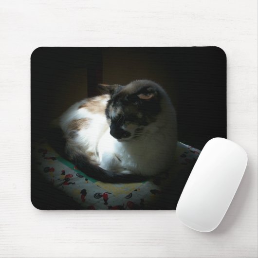 Ray of Sun Napping Kitty Mousepad (Mit Mouse)