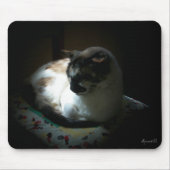 Ray of Sun Napping Kitty Mousepad (Vorne)