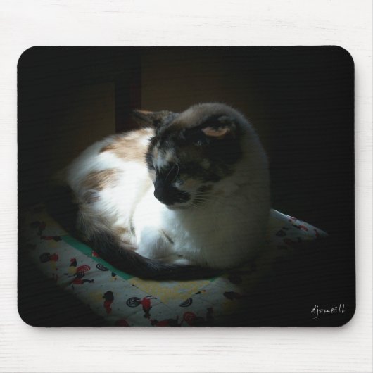 Ray of Sun Napping Kitty Mousepad (Vorne)