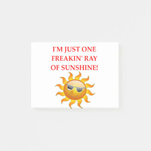 RAY POST-IT KLEBEZETTEL