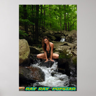 Ray Ray Popstar Wasserfall#4 Poster
