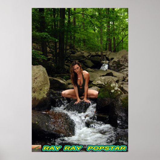 Ray Ray Popstar Wasserfall#4 Poster (Vorne)