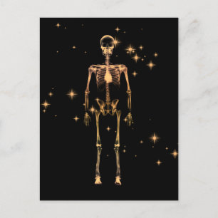 Ray Skeleton - Orange Postkarte