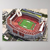 Raymond James Stadium, Tampa, FL Poster (Vorne)