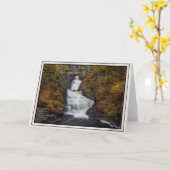 Raymondskill Falls im Herbst 2018 Karte (Gelbe Blume)