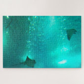 Rays in einem Aquarium halten. Jigsaw Puzzle (Horizontal)