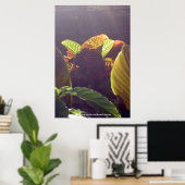 Rays Poster (Heimbüro)