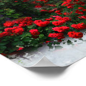 Raysel Poster (Ecke)