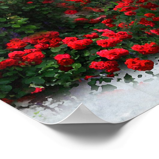 Raysel Poster (Ecke)