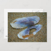 Razor Clam Muschel, Oregon Postkarte (Vorne/Hinten)