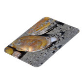 Razor Clams Diggging Magnet (Linke Seite)