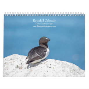Razorbill-Kalender 2025 Kalender