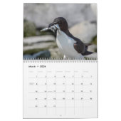 Razorbill-Kalender 2026 Kalender (Mär 2026)