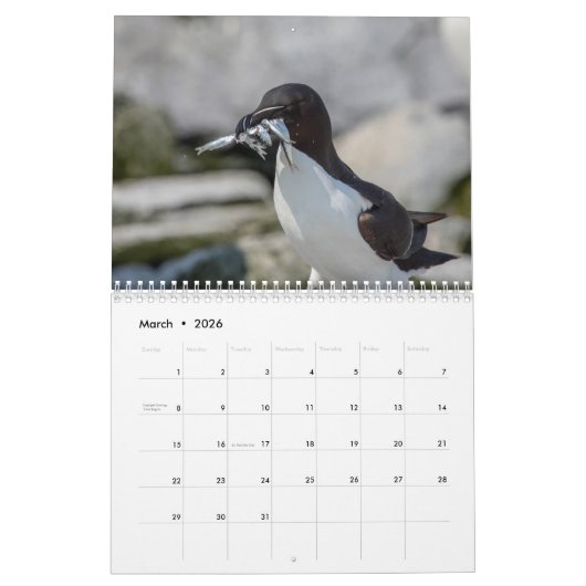 Razorbill-Kalender 2026 Kalender (Mär 2026)