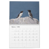 Razorbill-Kalender 2026 Kalender (Feb 2026)