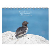 Razorbill-Kalender 2026 Kalender (Titelbild)