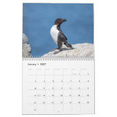 Razorbill-Kalender 2026 Kalender (Jan 2027)