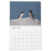Razorbill-Kalender 2026 Kalender (Feb 2027)
