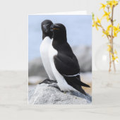 Razorbill Pair Karte (Gelbe Blume)