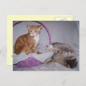 Razzbeeren Postkarte (Vorne/Hinten)